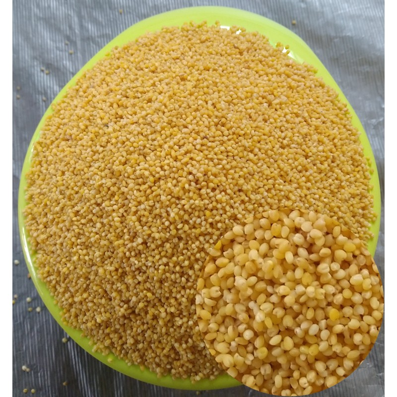 Foxtail Millets (250 Grams)