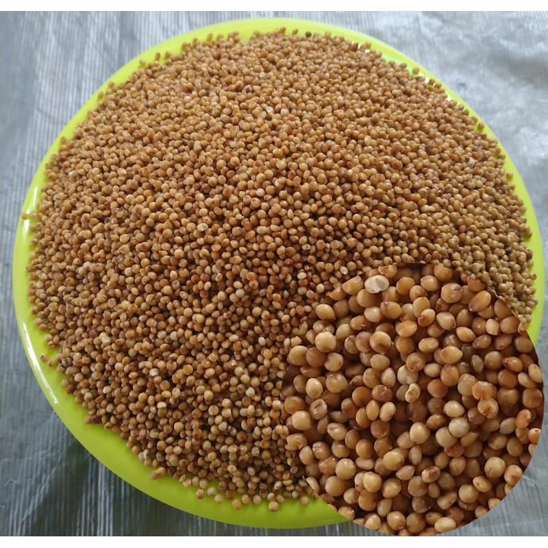 Kodo Millets (250 Grams)